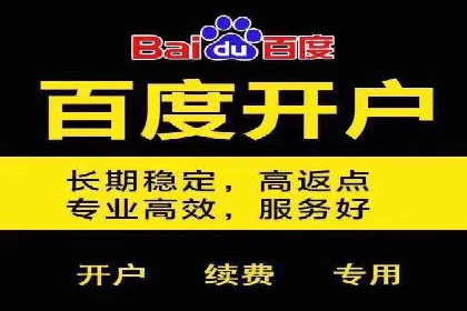 SEO技术突破：某网站流量暴增的背后故事